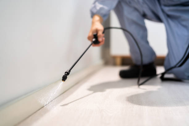 Licensed Pest Control service in Lathrup Village, MI - Show Me Pest Control