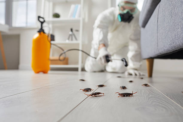 Commercial Rodent Management in Lathrup Village